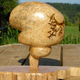 Illustration for article titled This is a tree. Its also a brain.